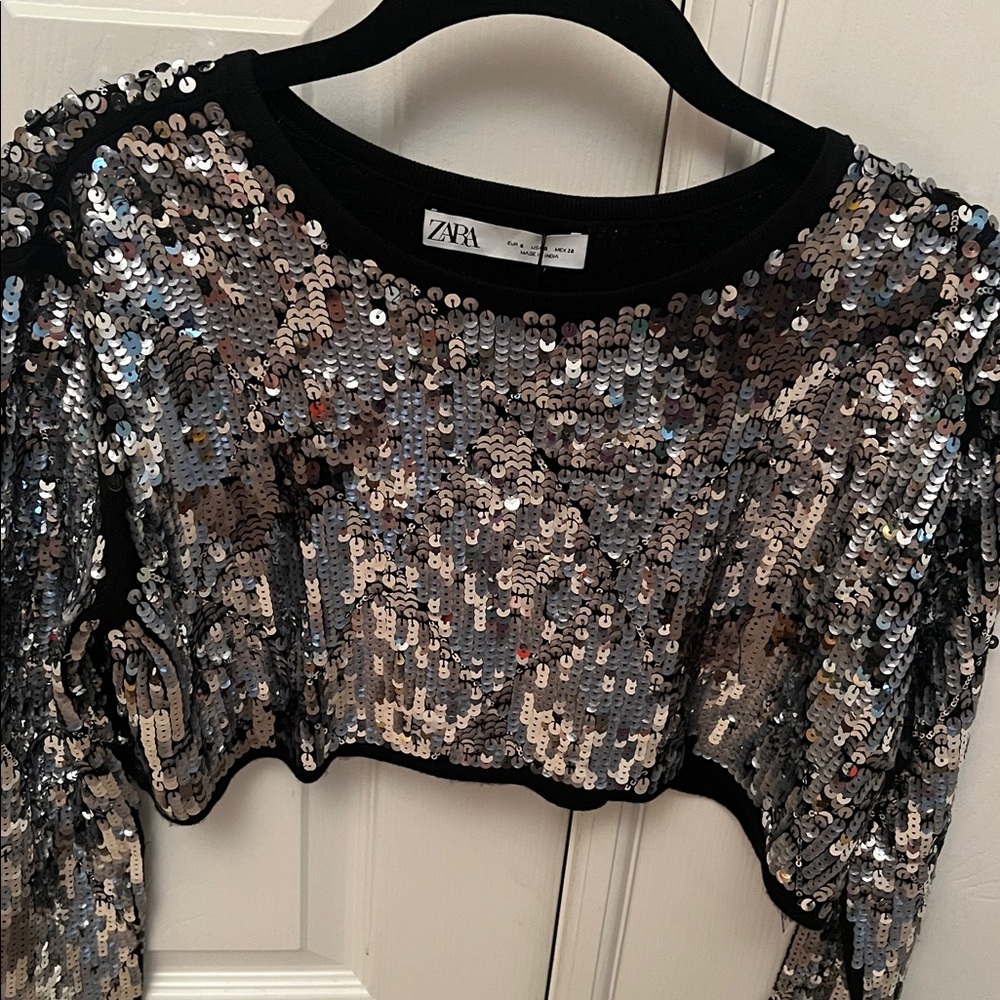 NEW Zara Sequin Crop Top